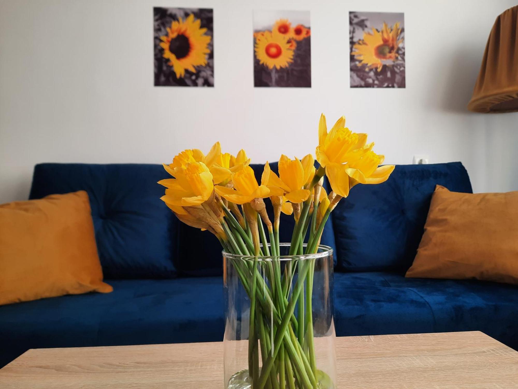 Apartament Baltycka Sardynka Ustka Extérieur photo
